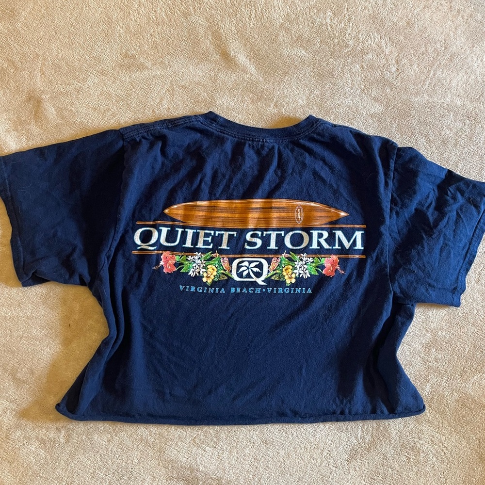 Virginia beach cropped t shirt